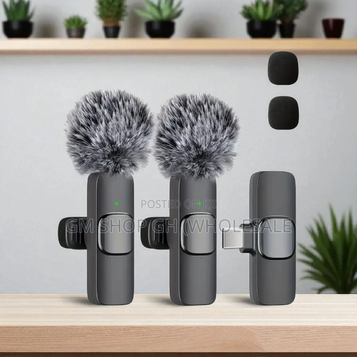 All in 1 Wireless Microphone (35778)