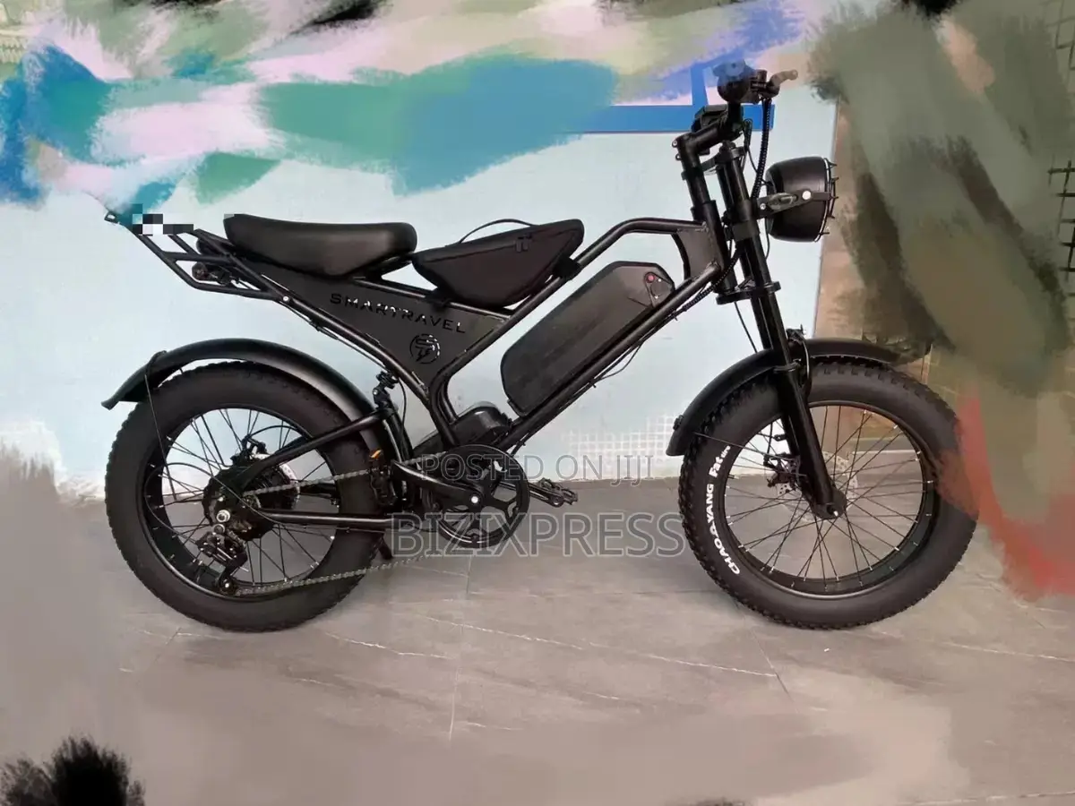 Smart Travel Electric Bike