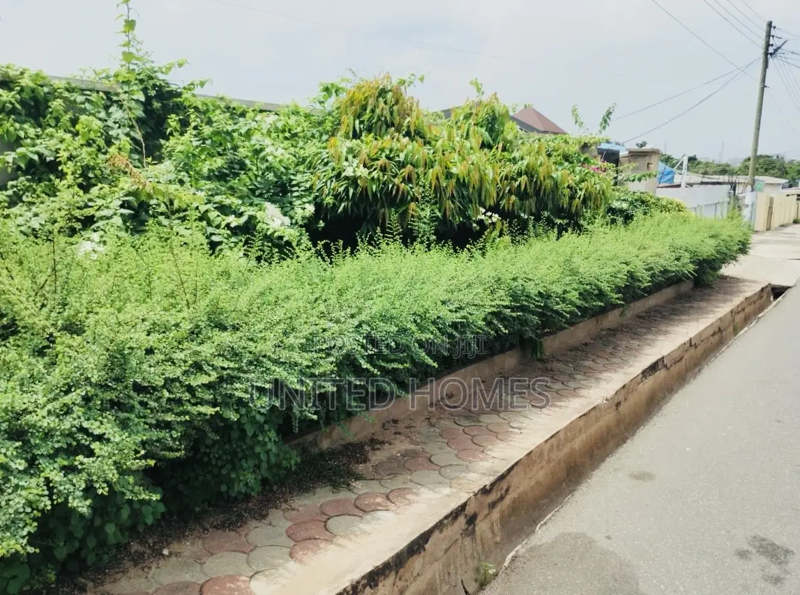 5bdrm House in Cantonments for rent