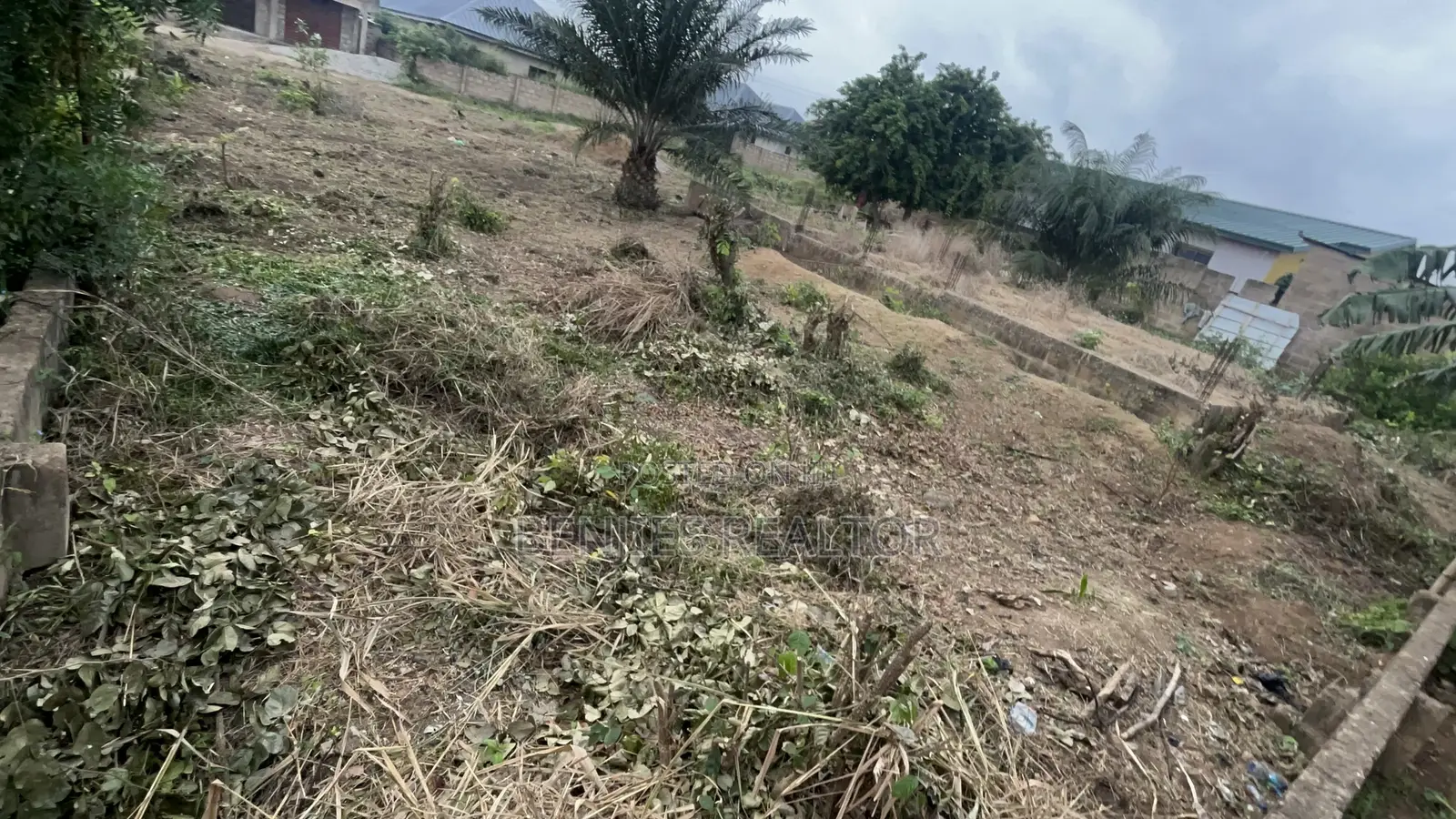 Full Plot at Alico City
