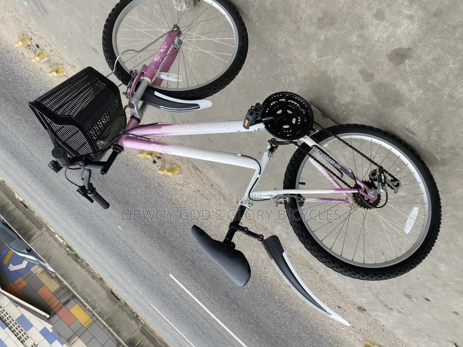 Ladies Type Mountain Bike