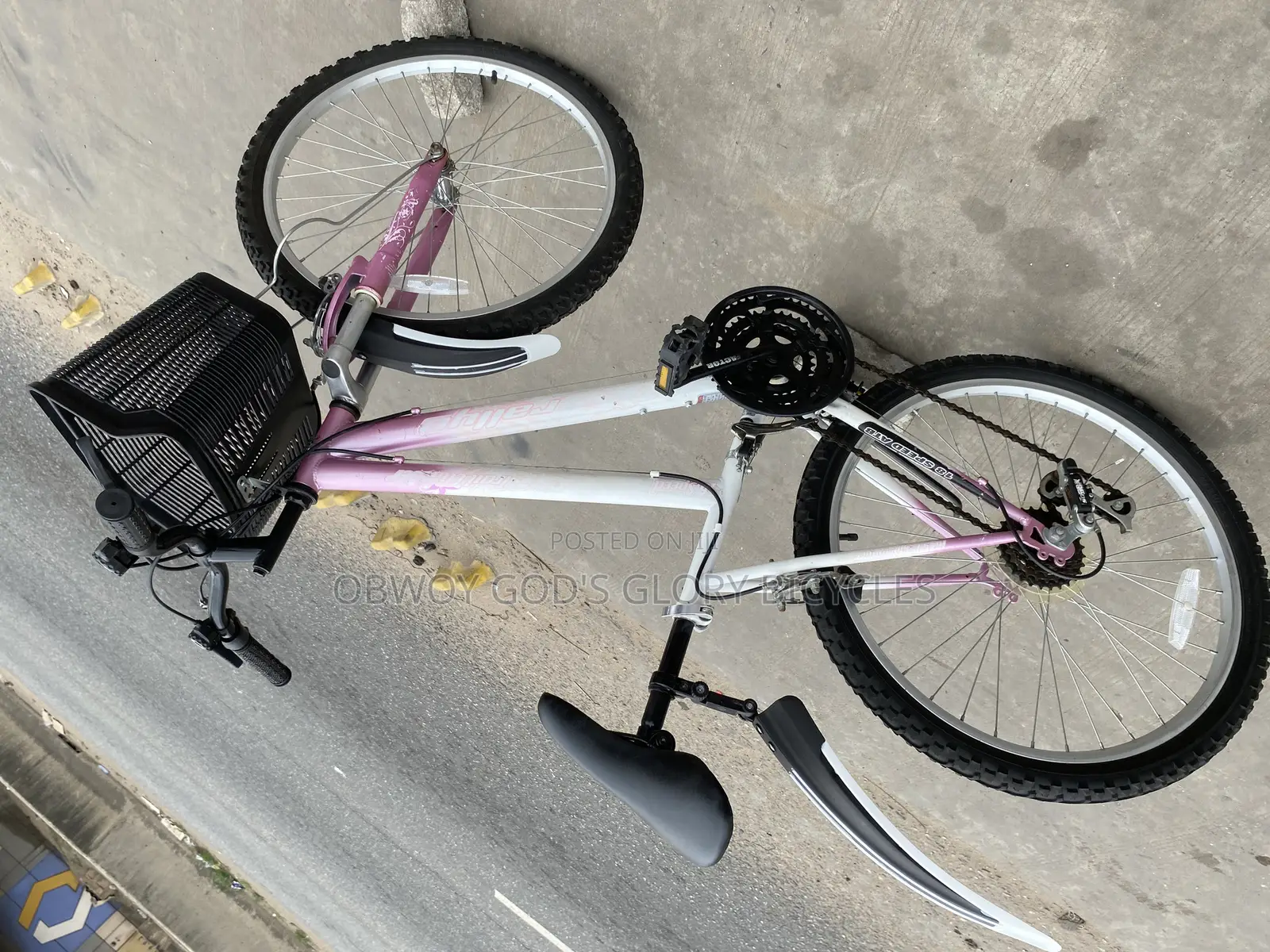 Ladies Type Mountain Bike