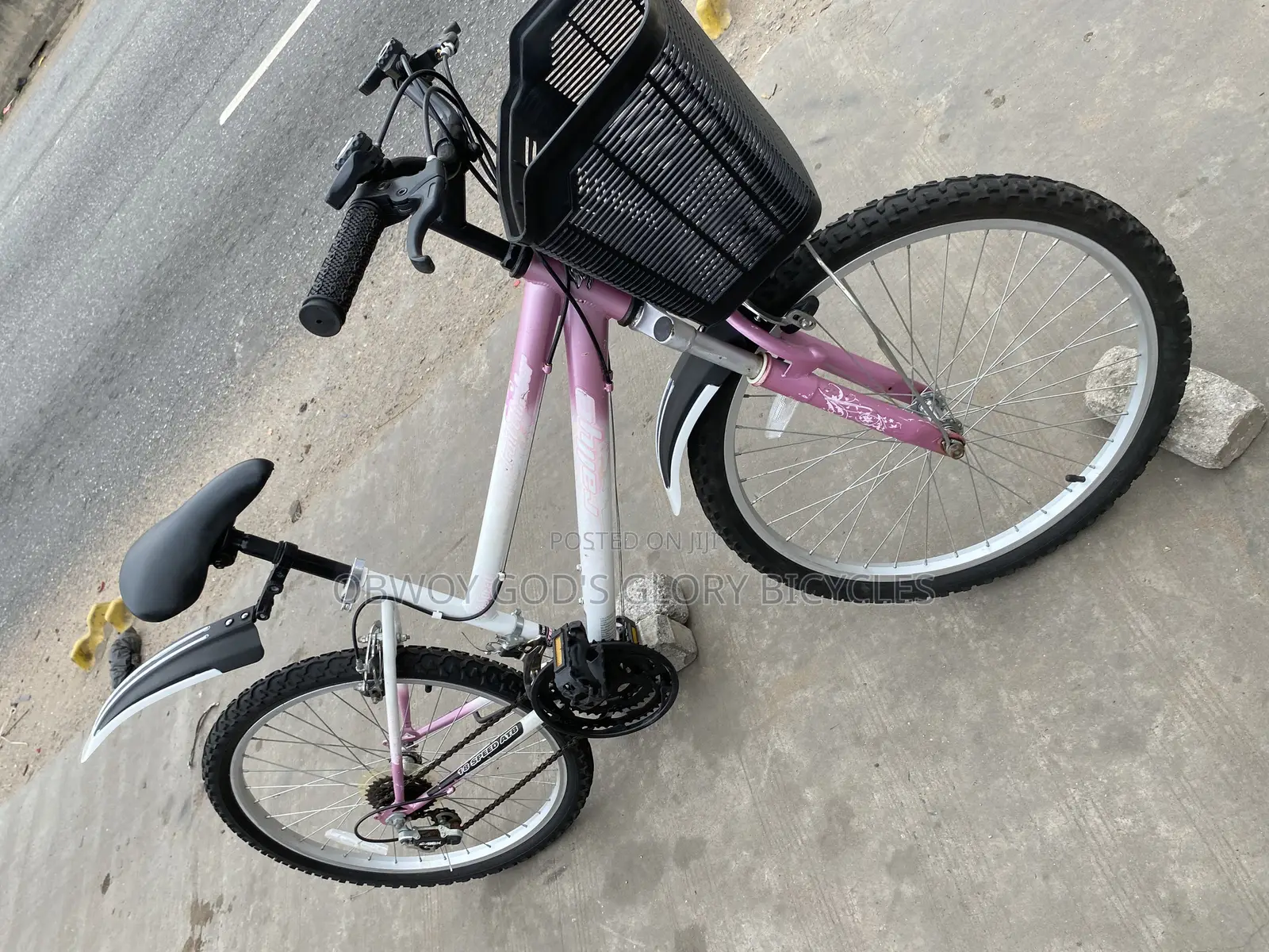 Ladies Type Mountain Bike