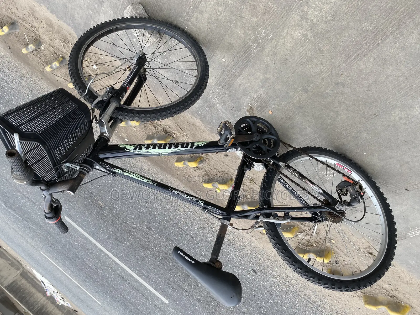 24 Inches Mountain Basket Bike