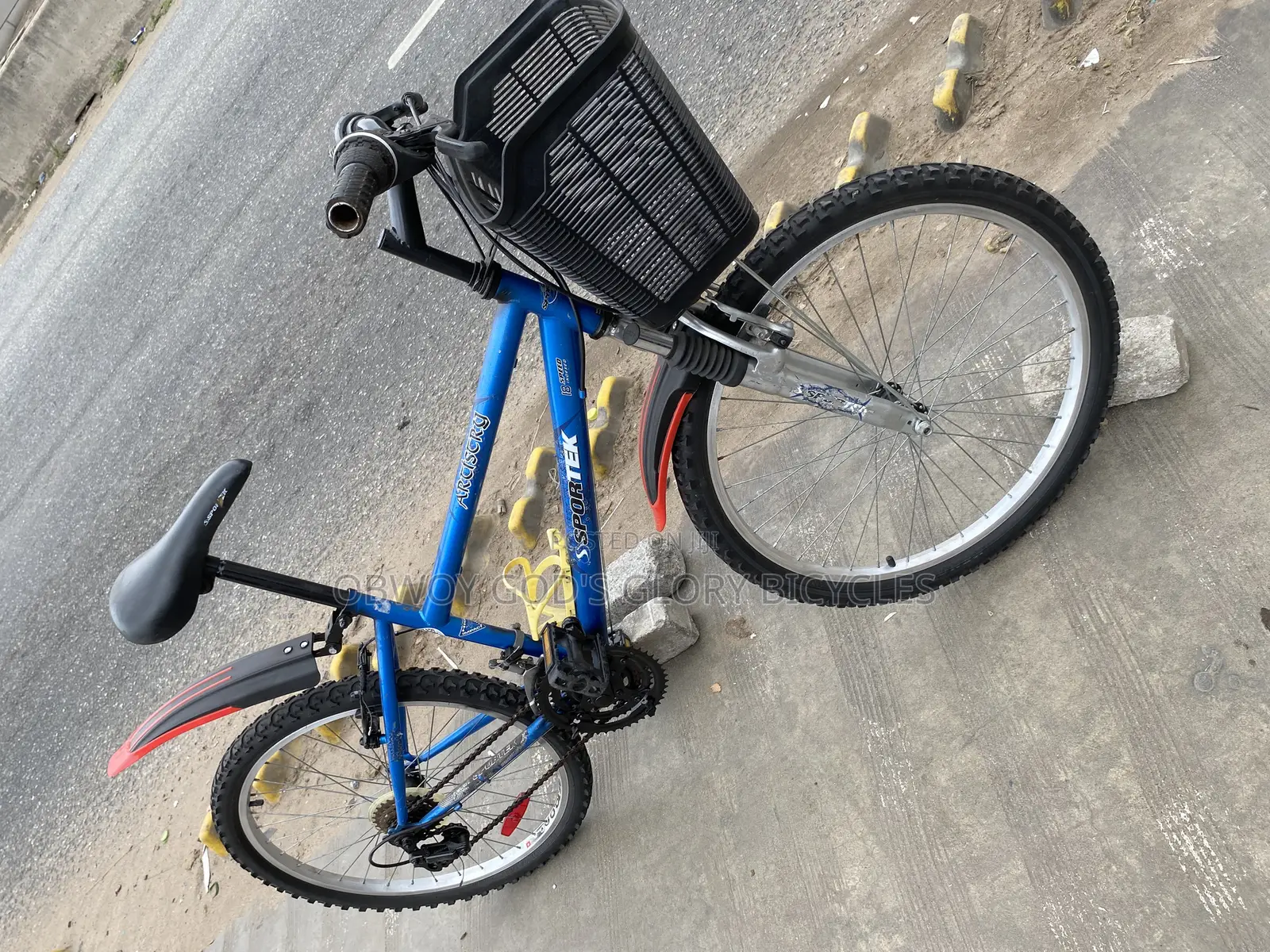 Type 2 Ladies Bike 24