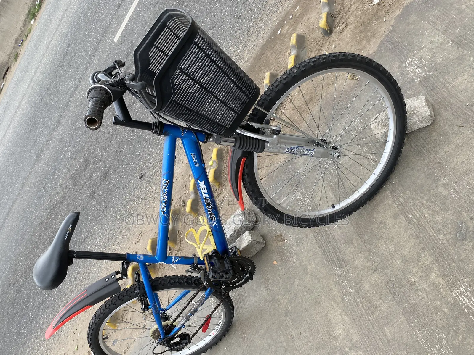 Type 2 Ladies Bike 24
