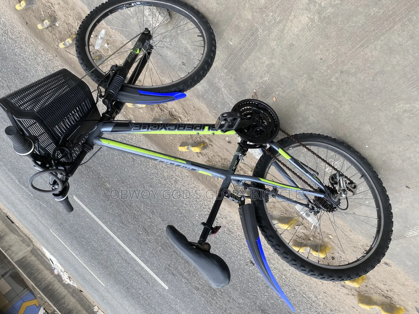 Type 2 Ladies Bike 24 Inches