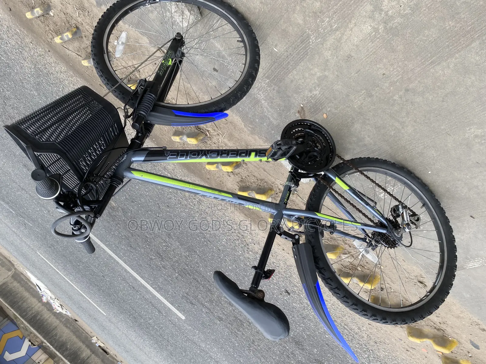 Type 2 Ladies Bike 24 Inches