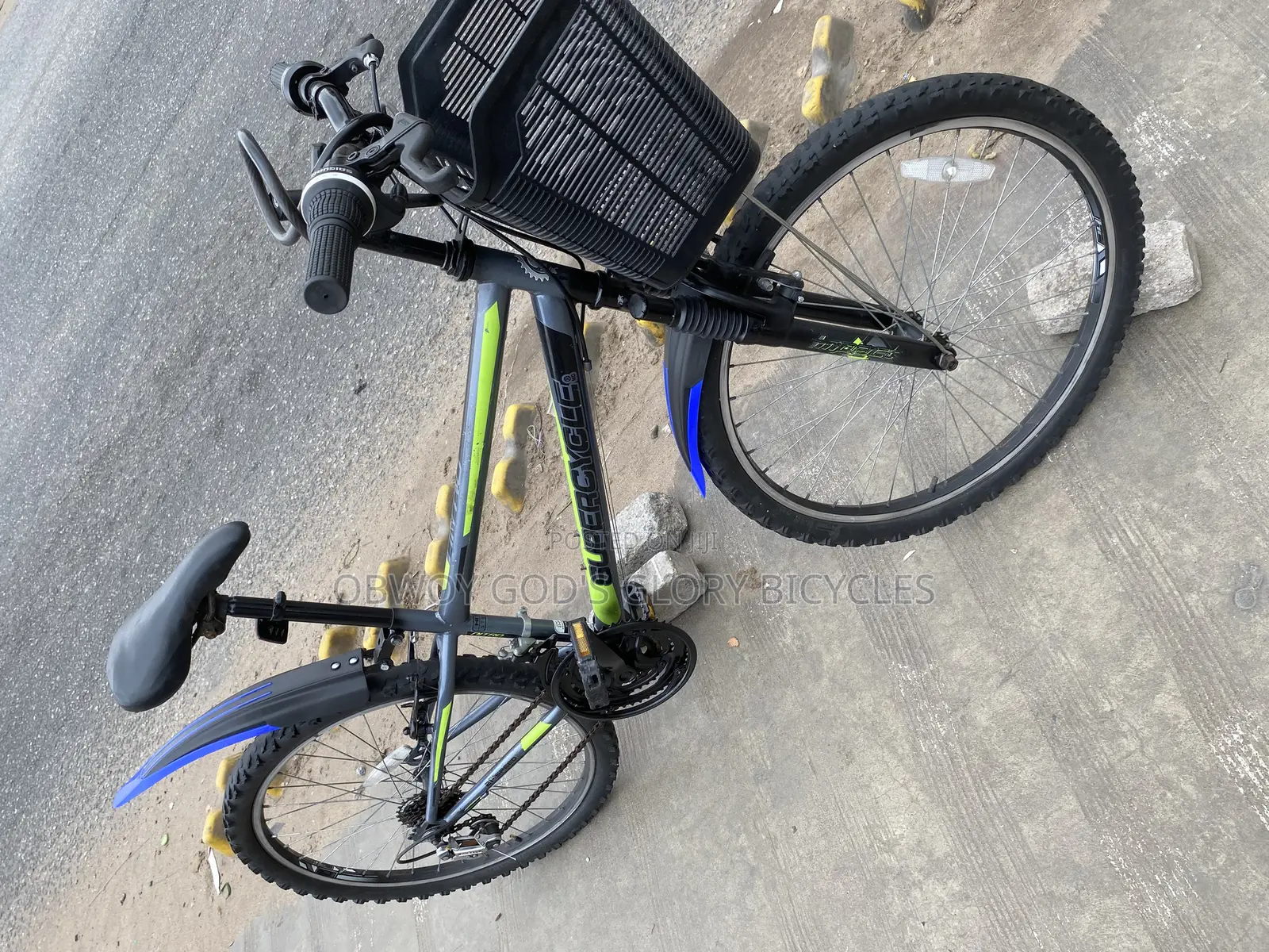 Type 2 Ladies Bike 24 Inches