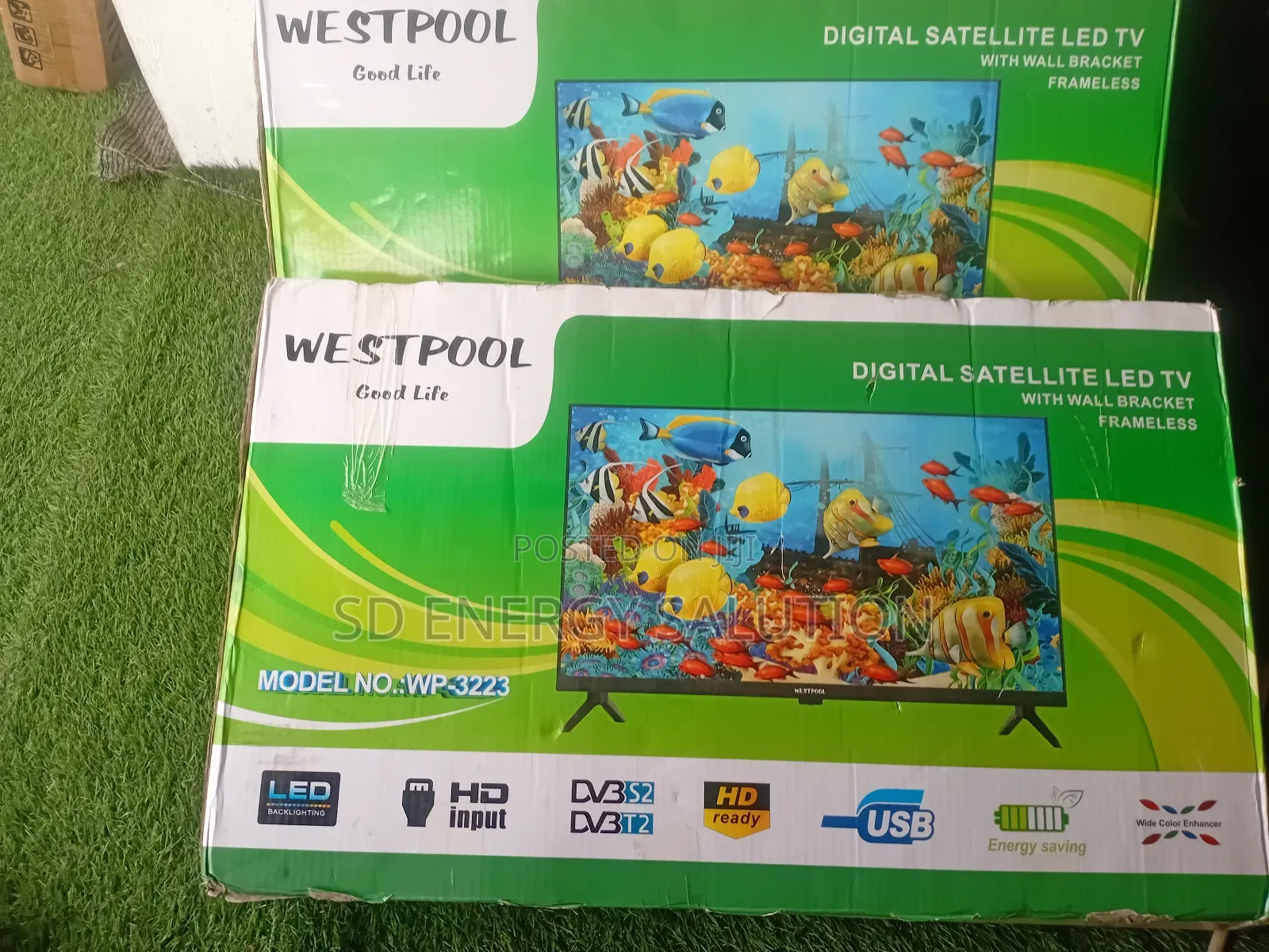 Alluring Cheerful Westpool Digital Tv