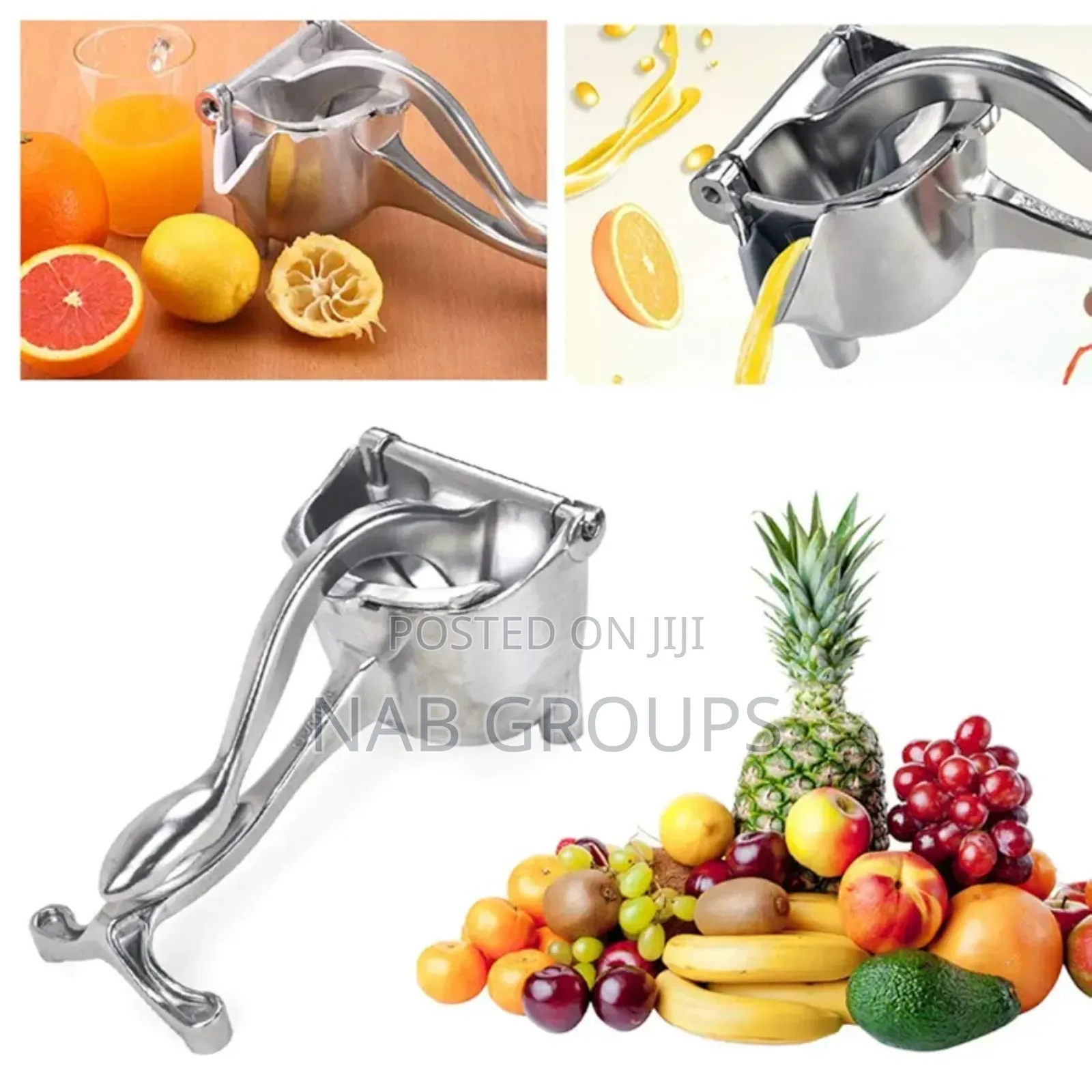 Manual Fruit Press