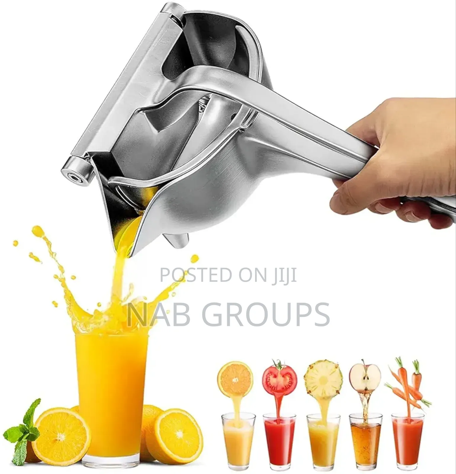 Manual Fruit Press