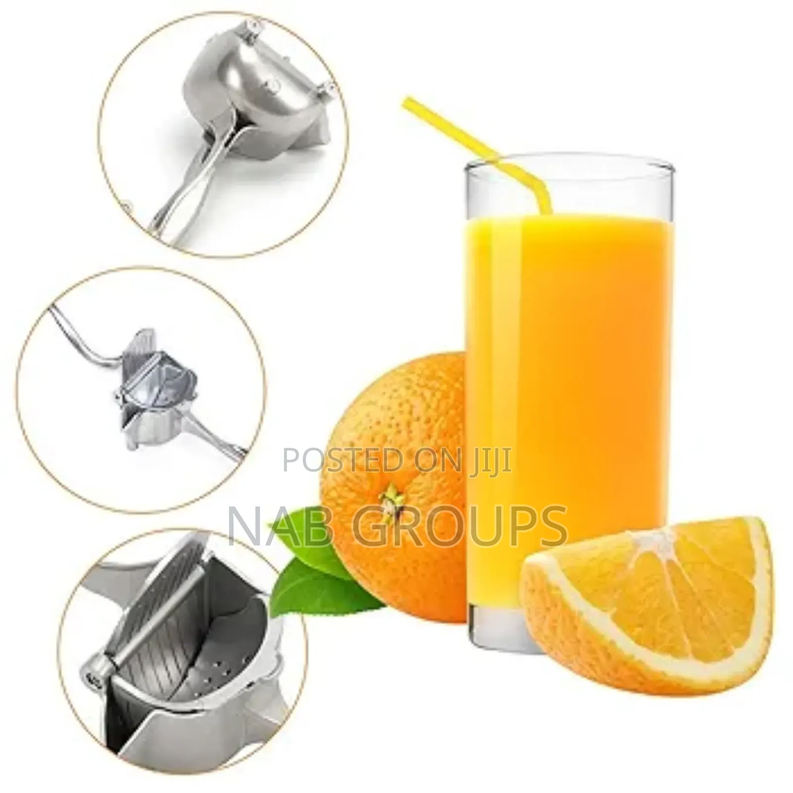 Manual Fruit Press