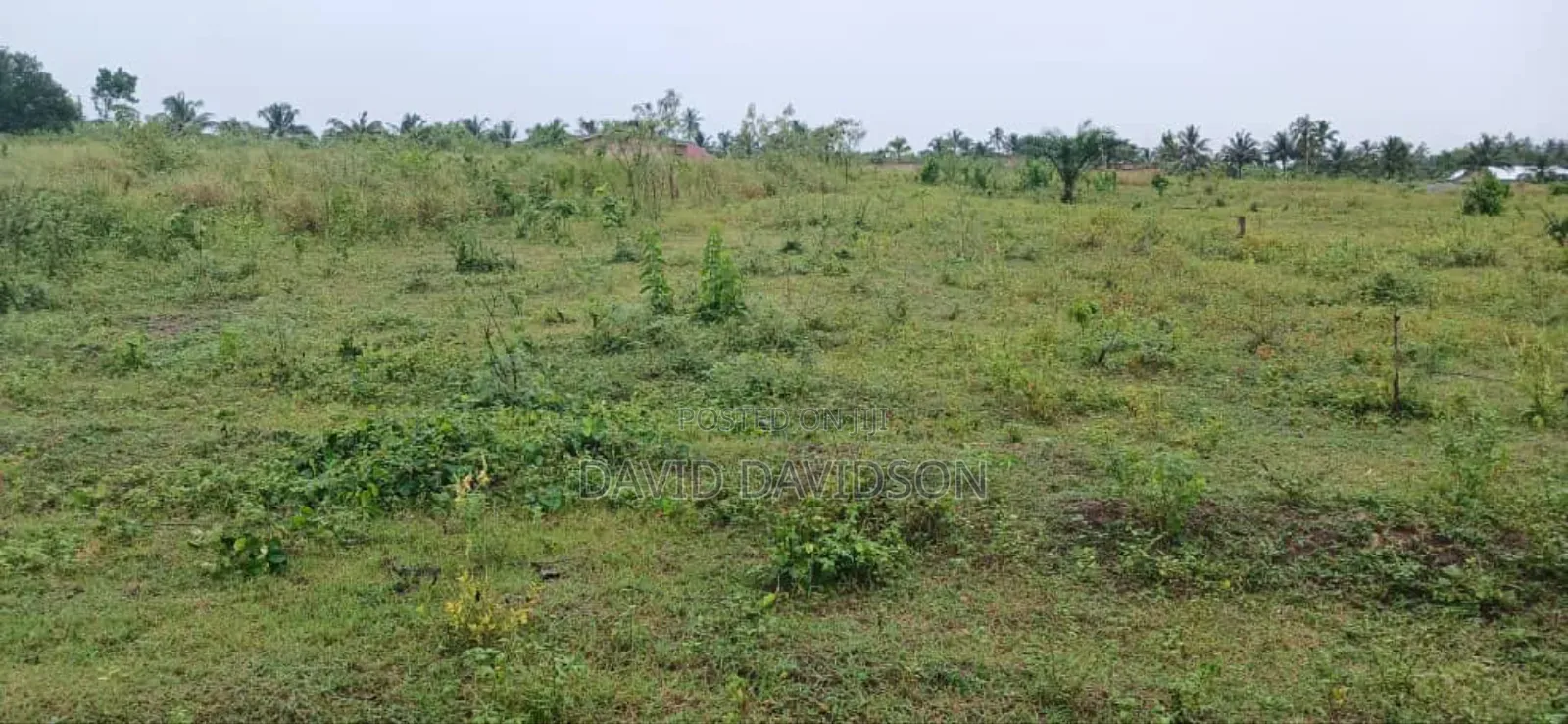 Land for Sale Kasoa