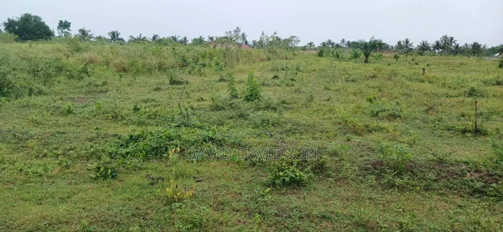 Land for Sale Kasoa