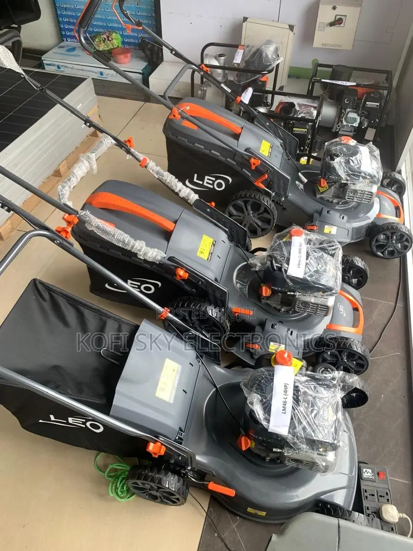 Leo Lawm Mowers 4hp Lm46