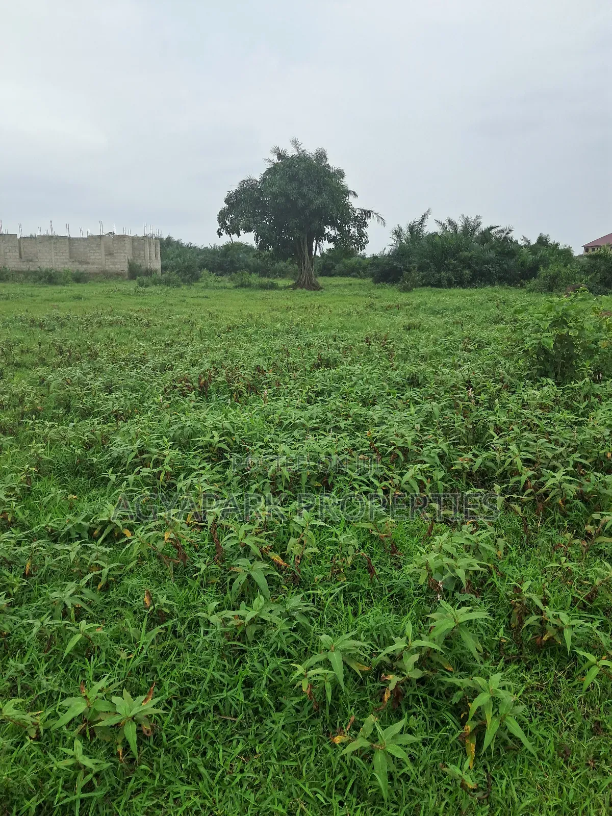 Half Plot of Land for Sale