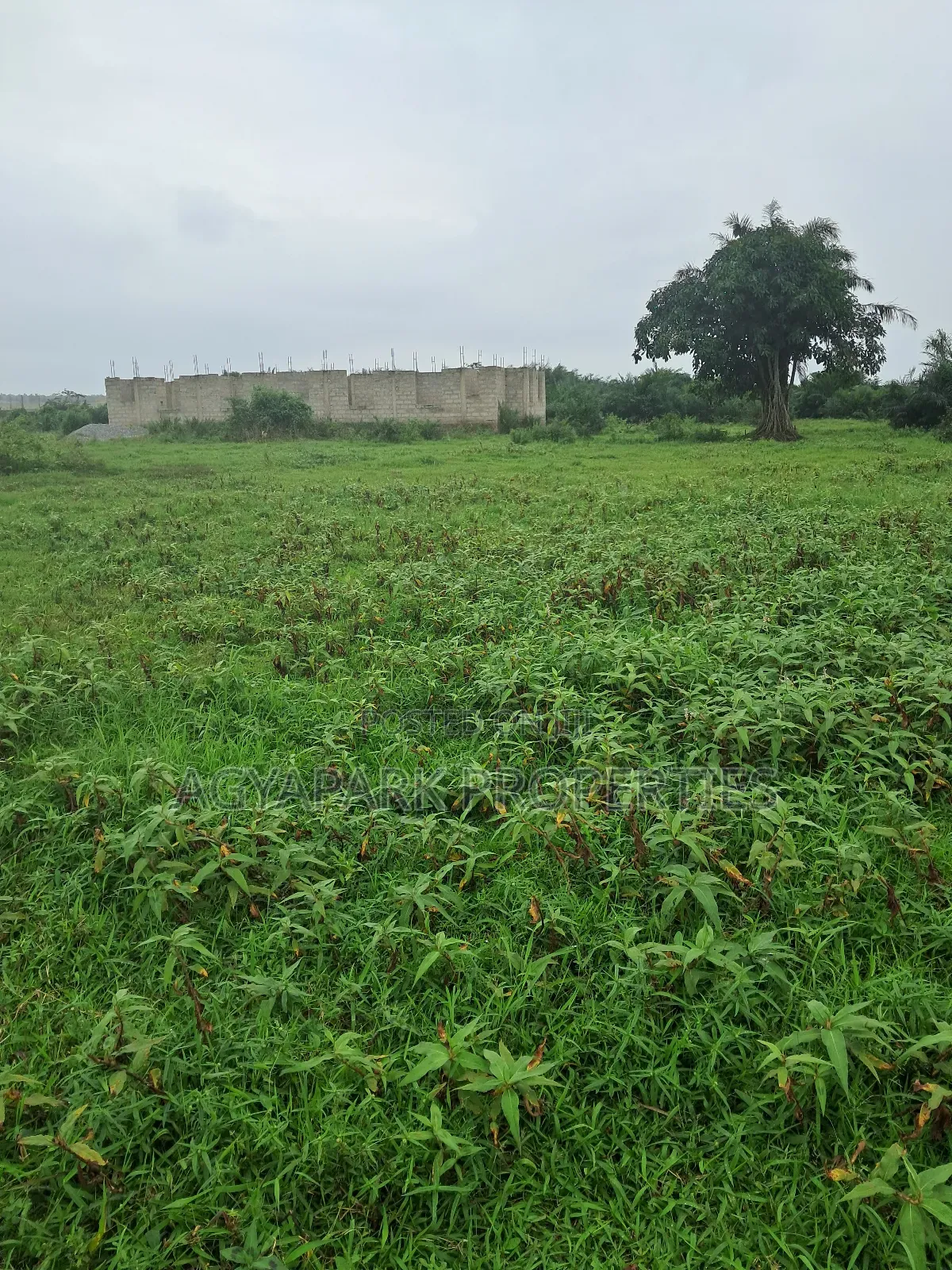 Half Plot of Land for Sale