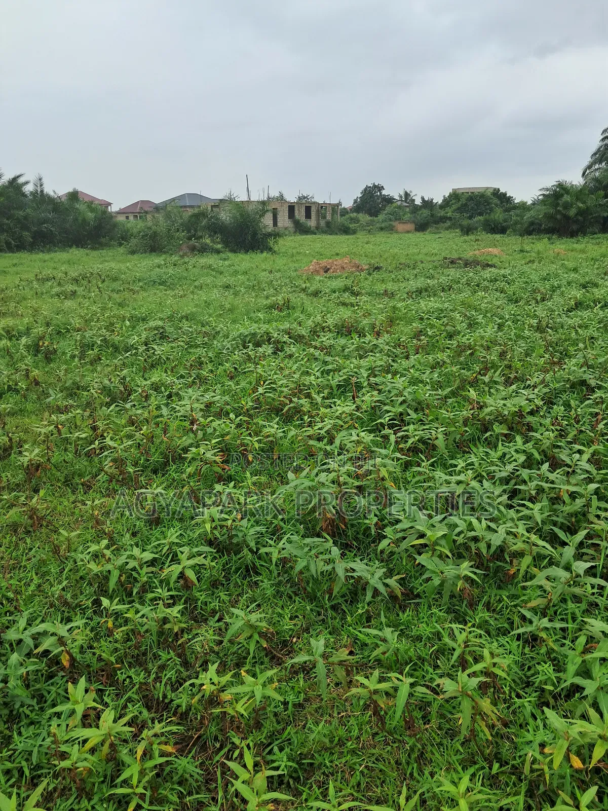 Half Plot of Land for Sale