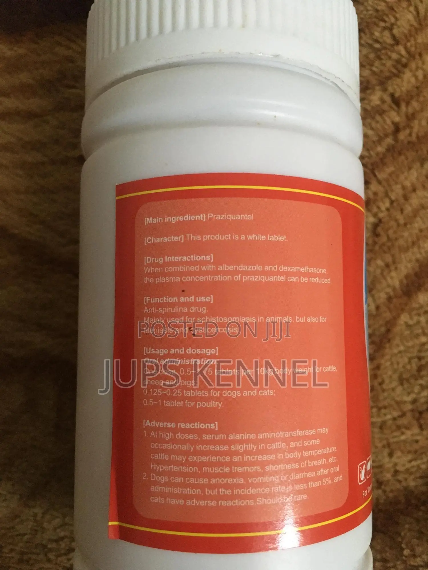 Praziquantel Tablets (Dewormer)