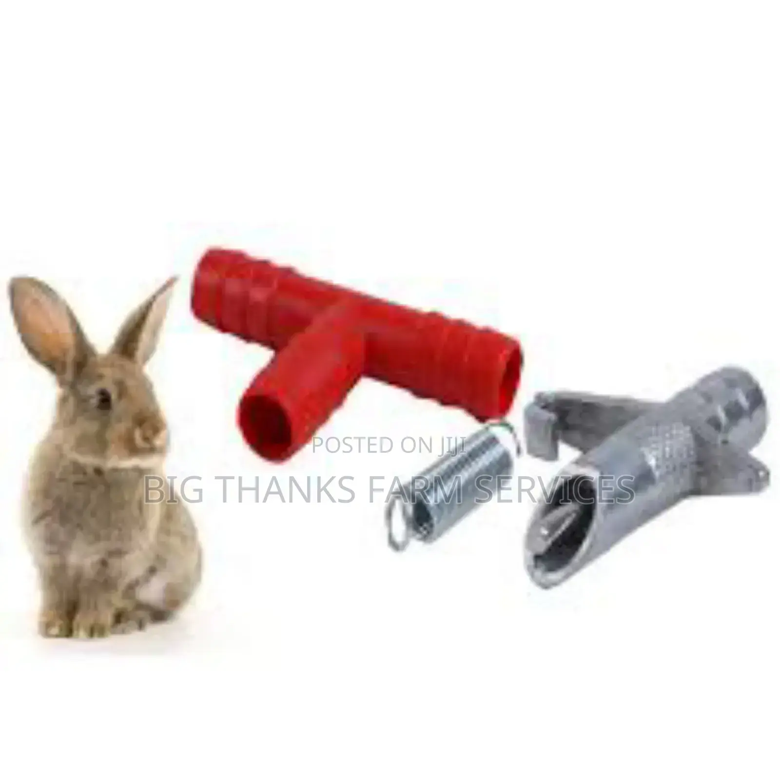 Rabbit Automatic Drinkers