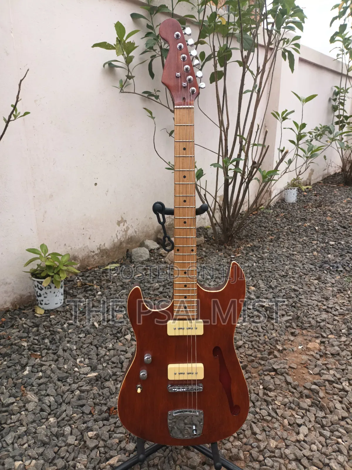 Customized Semi Hollowbody Guitar(Professional Left-Hand Guitar).