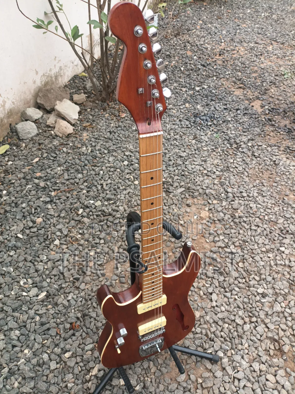 Customized Semi Hollowbody Guitar(Professional Left-Hand Guitar).