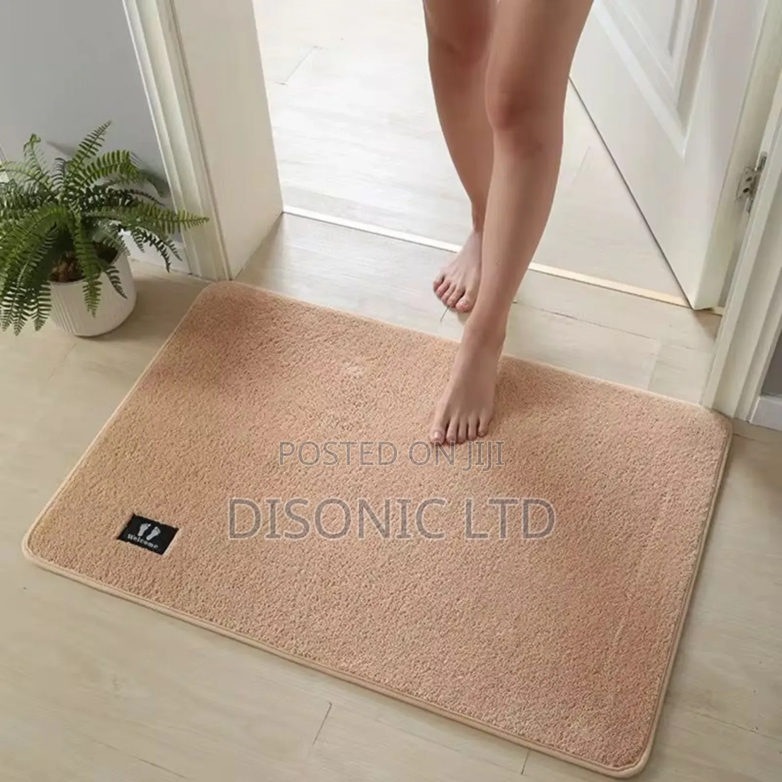 Door Mats for Homes Offices