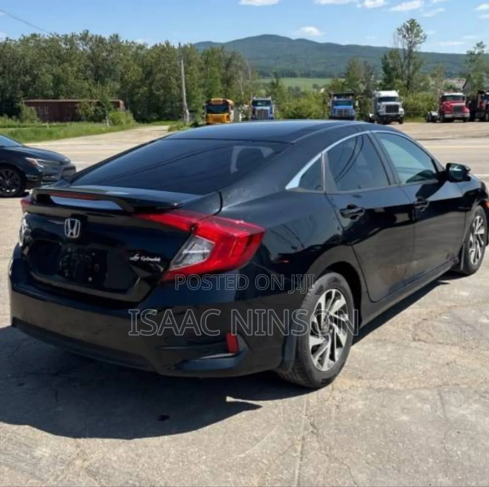 Car Rentals