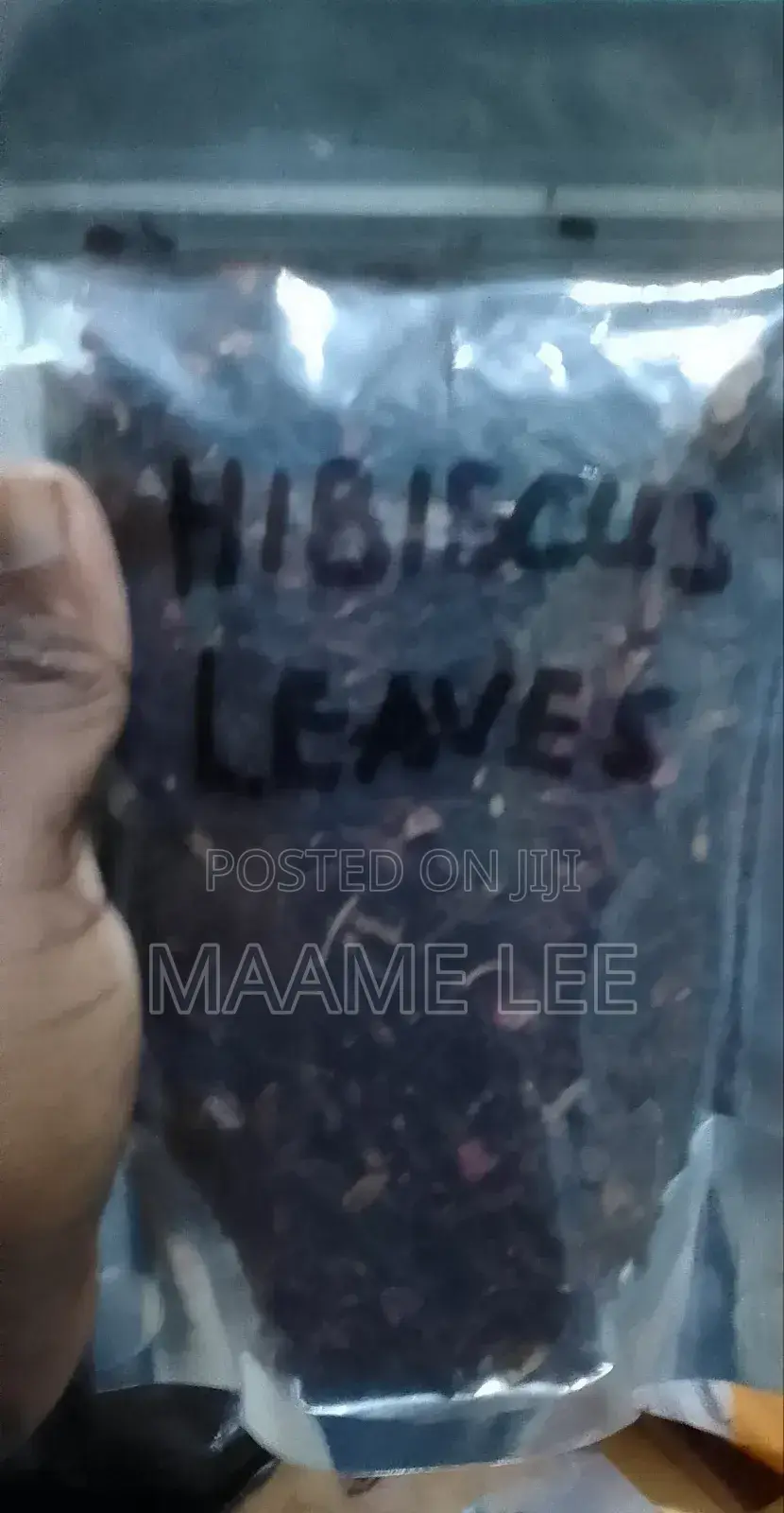 Hibiscus Leaves (Small Leaves)