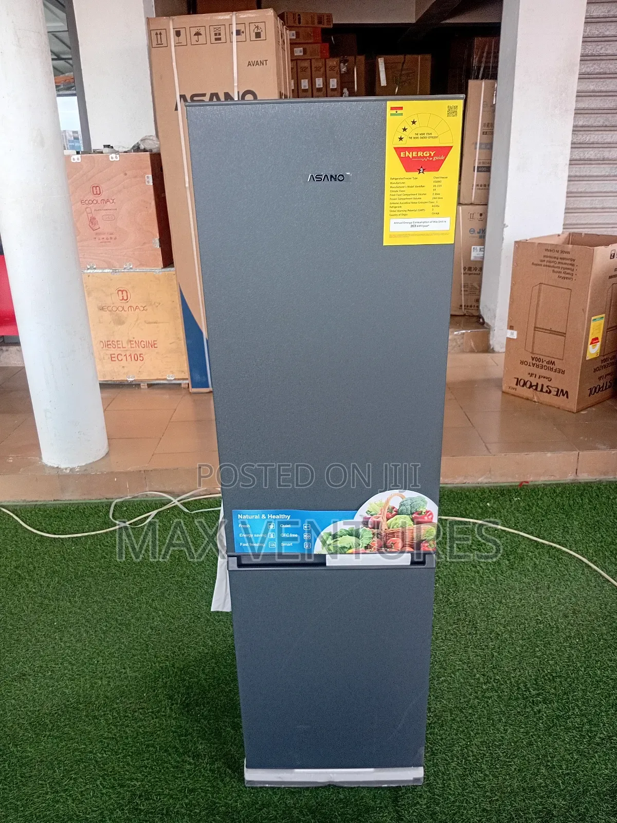 Preserve With Asano Chest Freezer