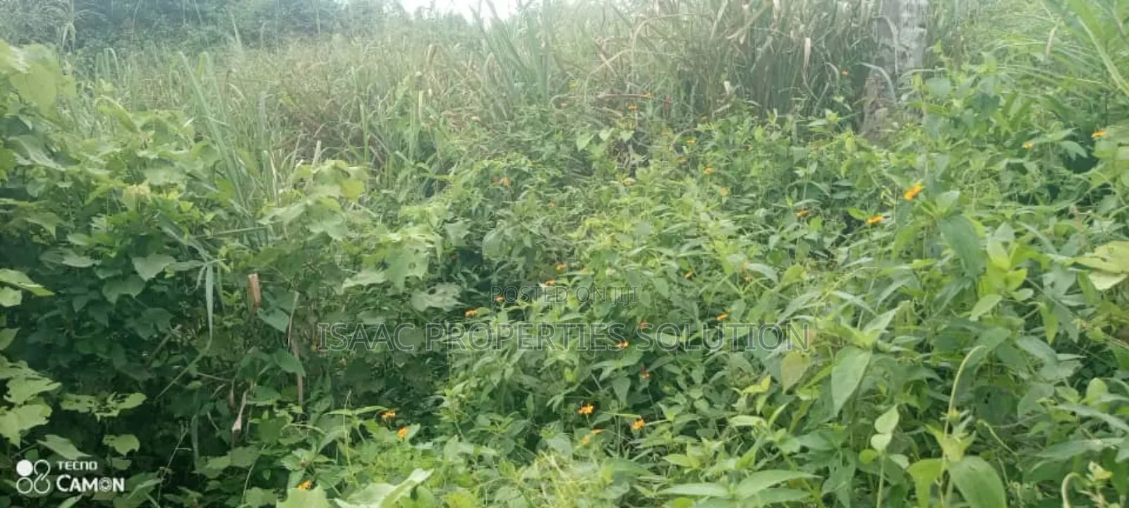 A Plot Fr Sale at Apowah