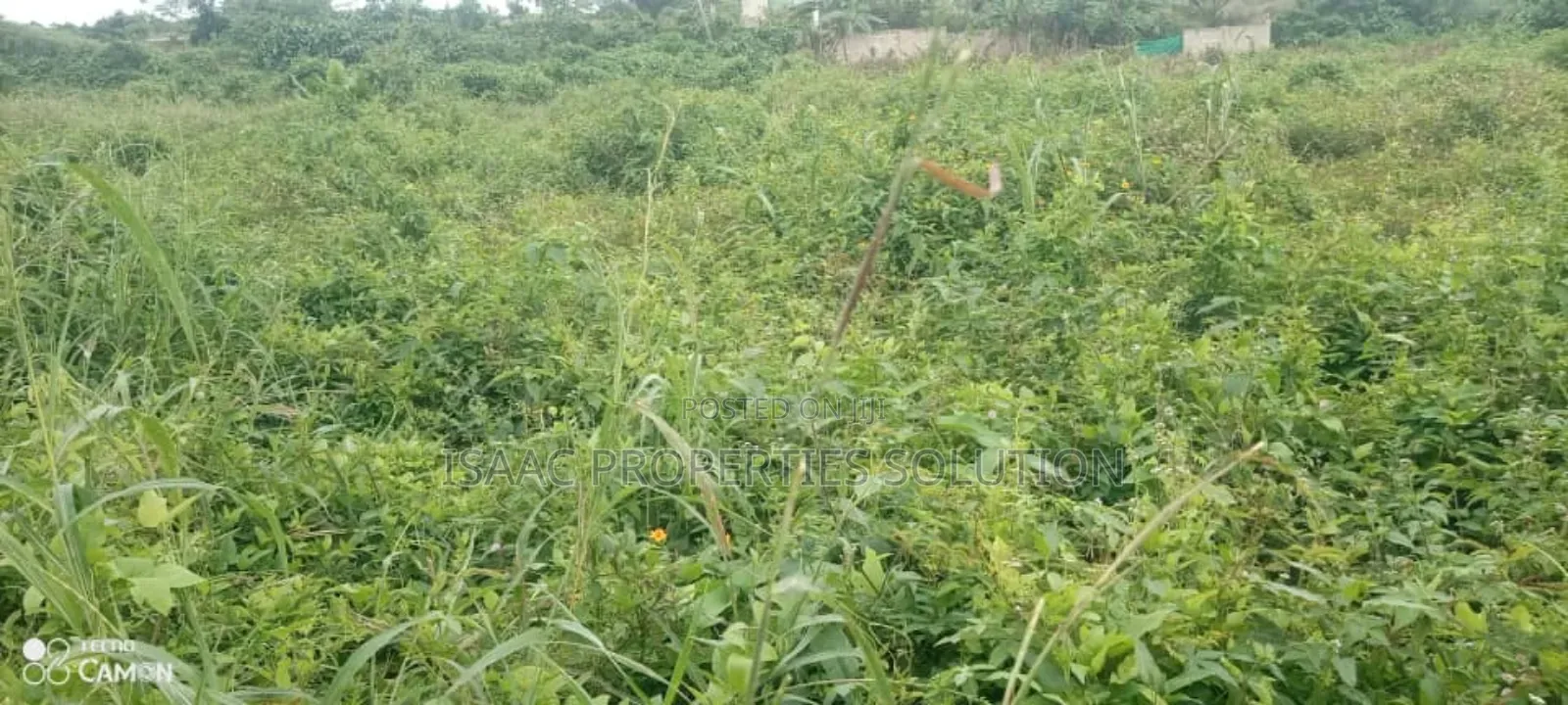 A Plot Fr Sale at Apowah