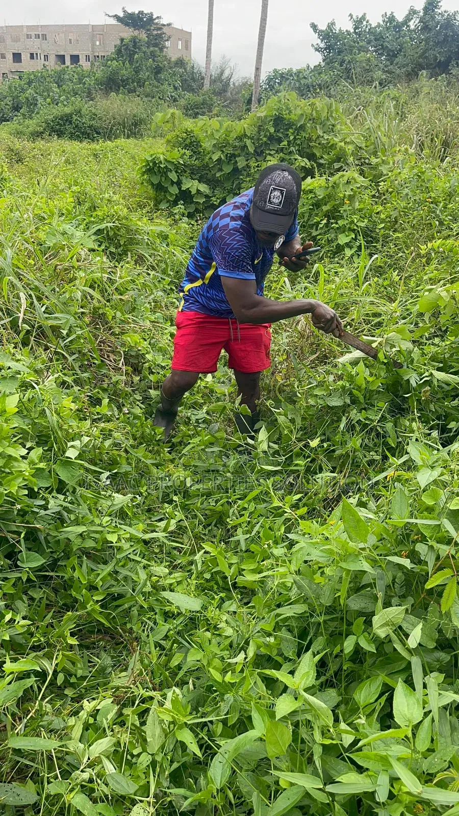 A Plot Fr Sale at Apowah