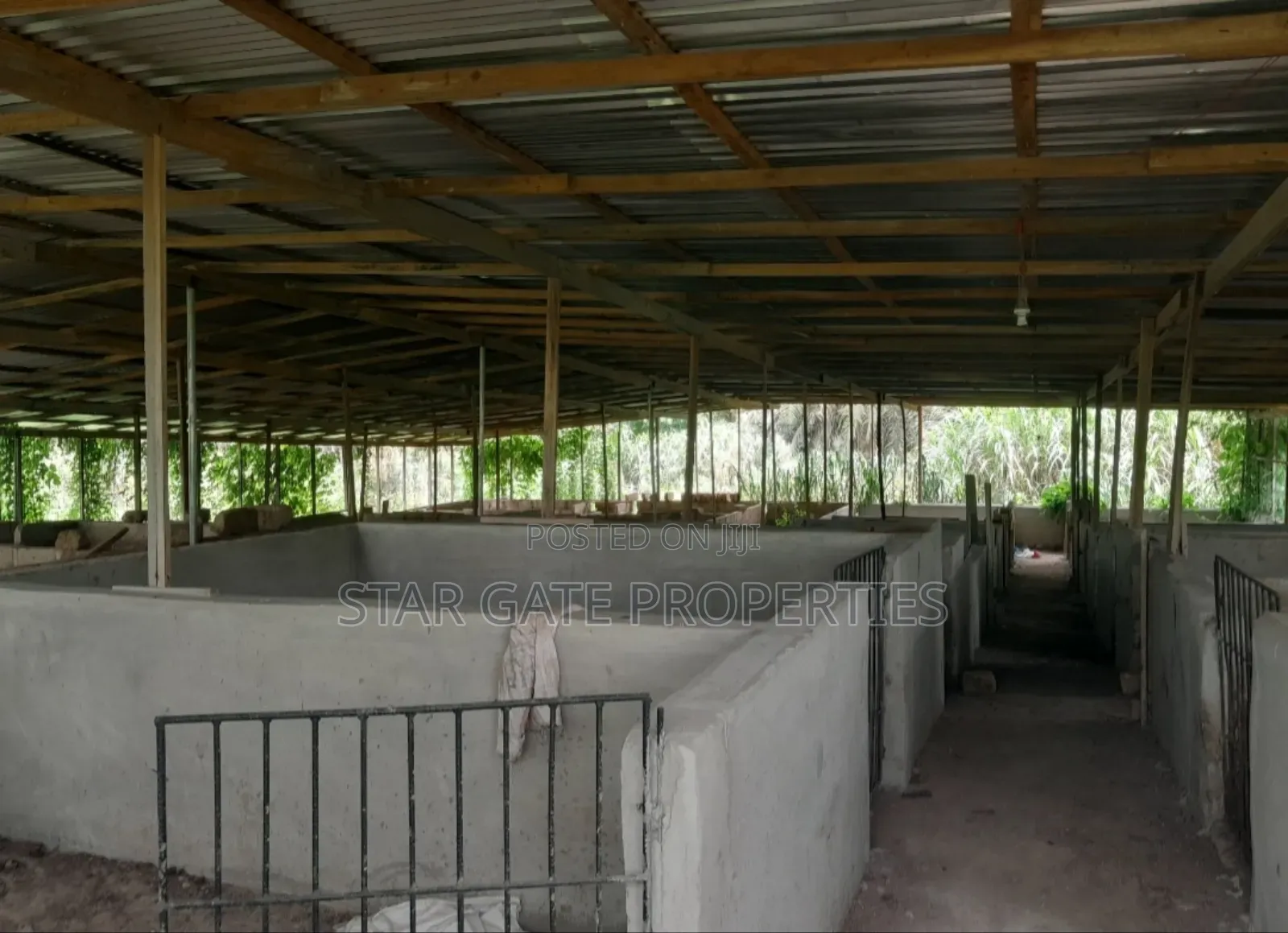 Poultry Farm for Sale