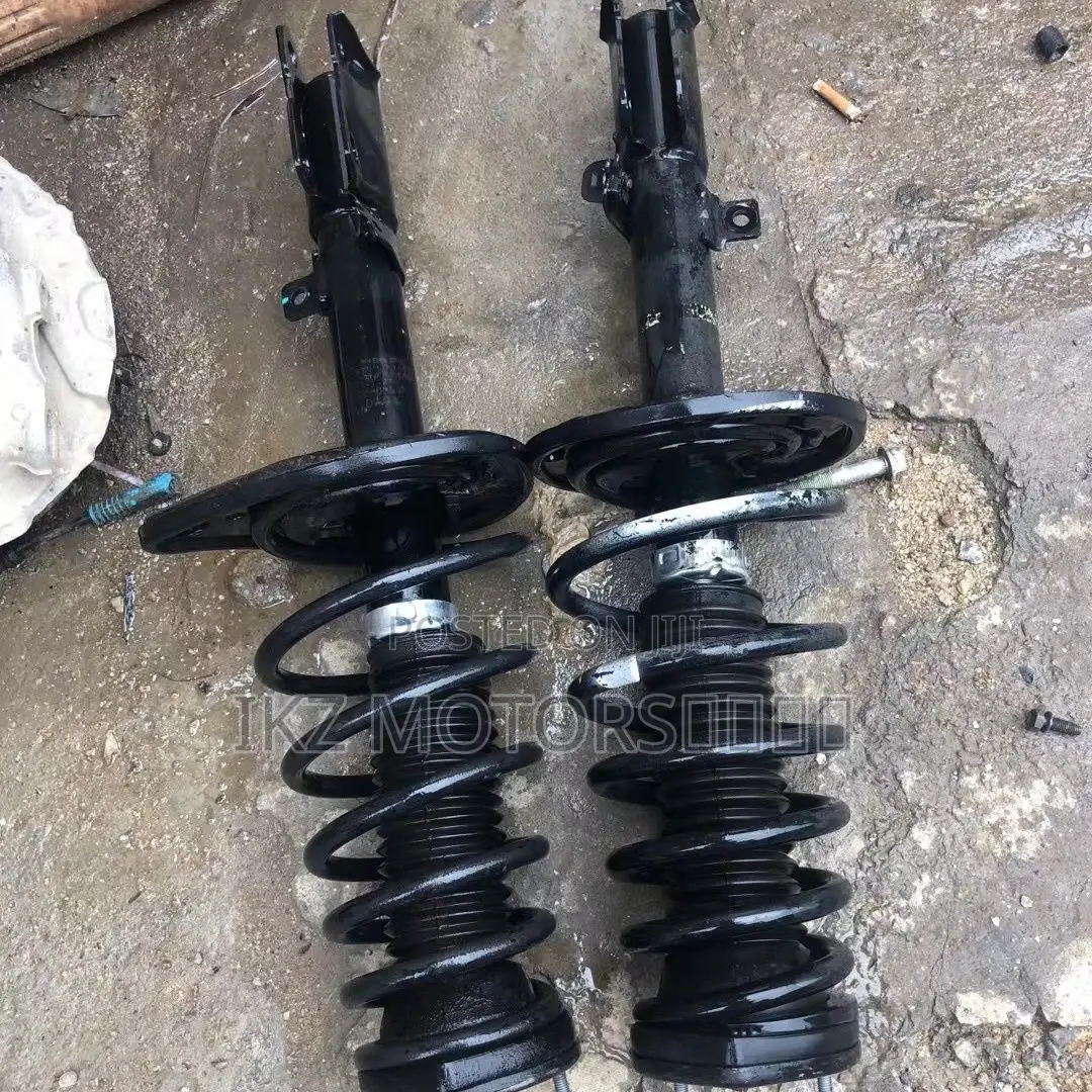 Camry Back Shocks