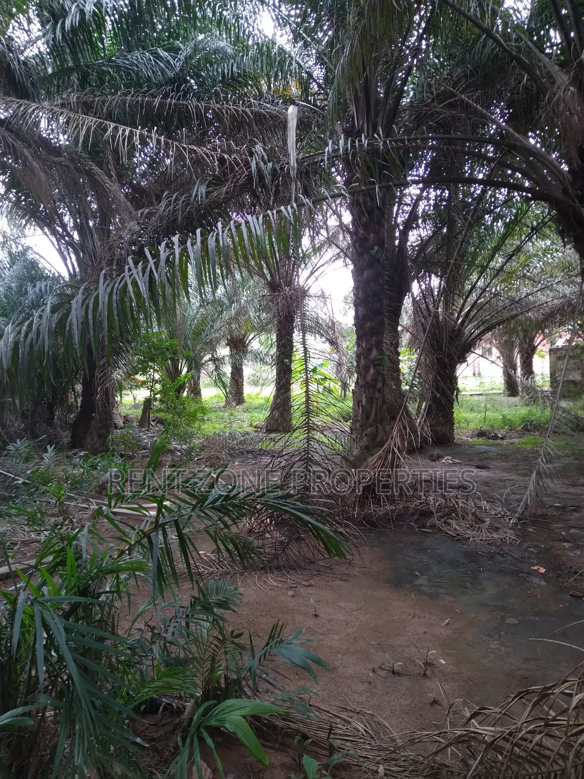 Title Land for Sale