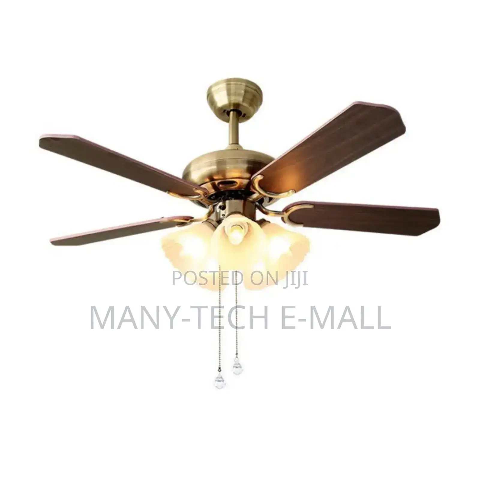 Vintage Luxurious Fan With Light