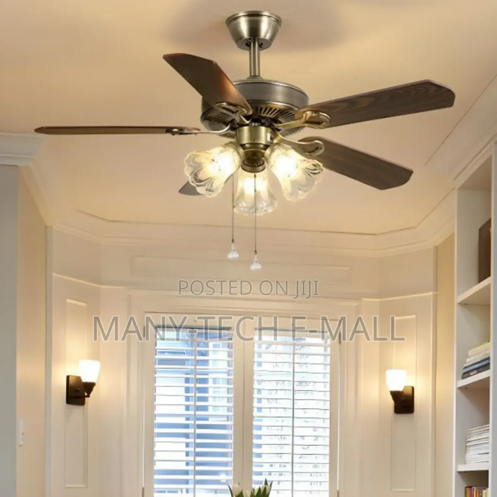 Vintage Luxurious Fan With Light