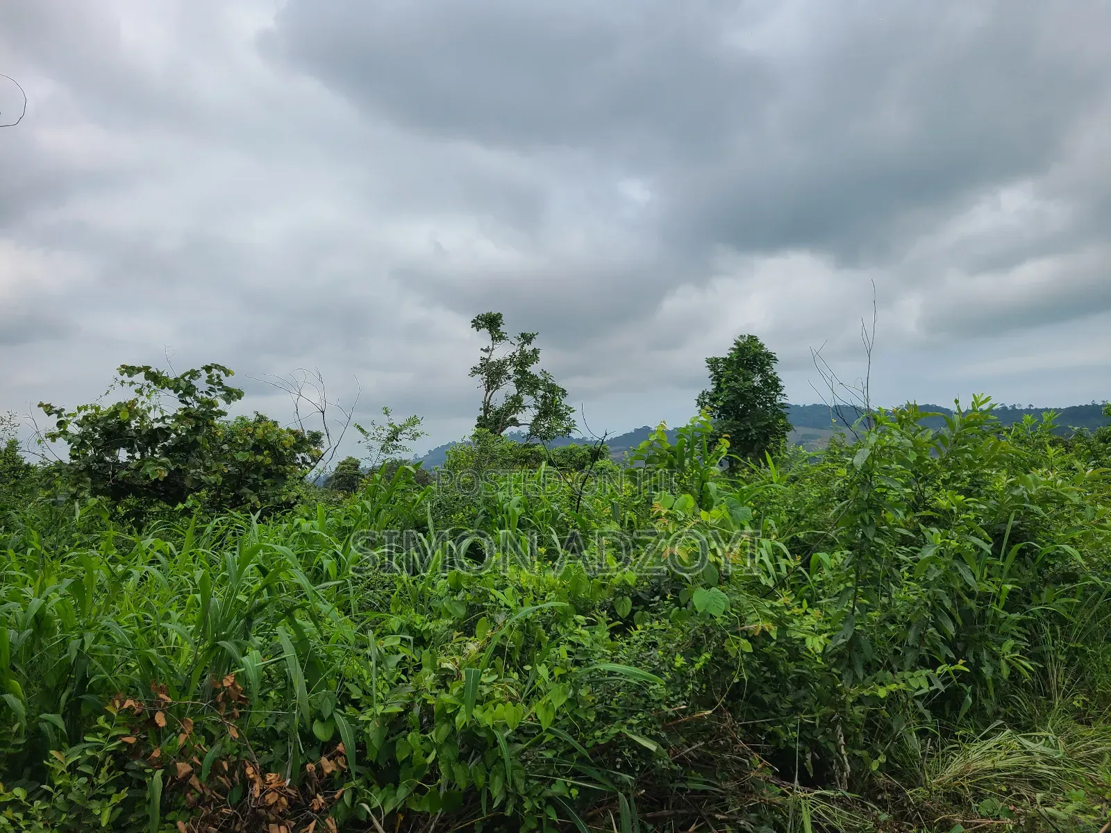 5000 Acres Farm Land For Sale Or Lease