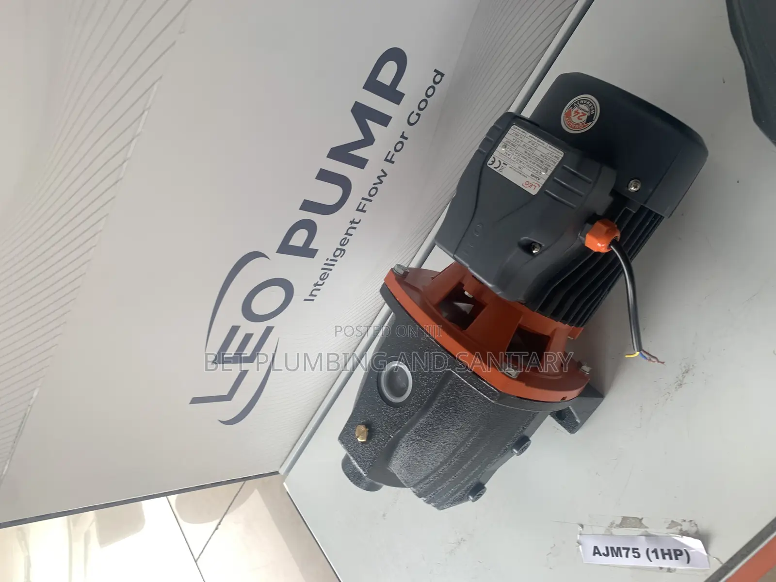 Accurate Leo 1hp Water Pump