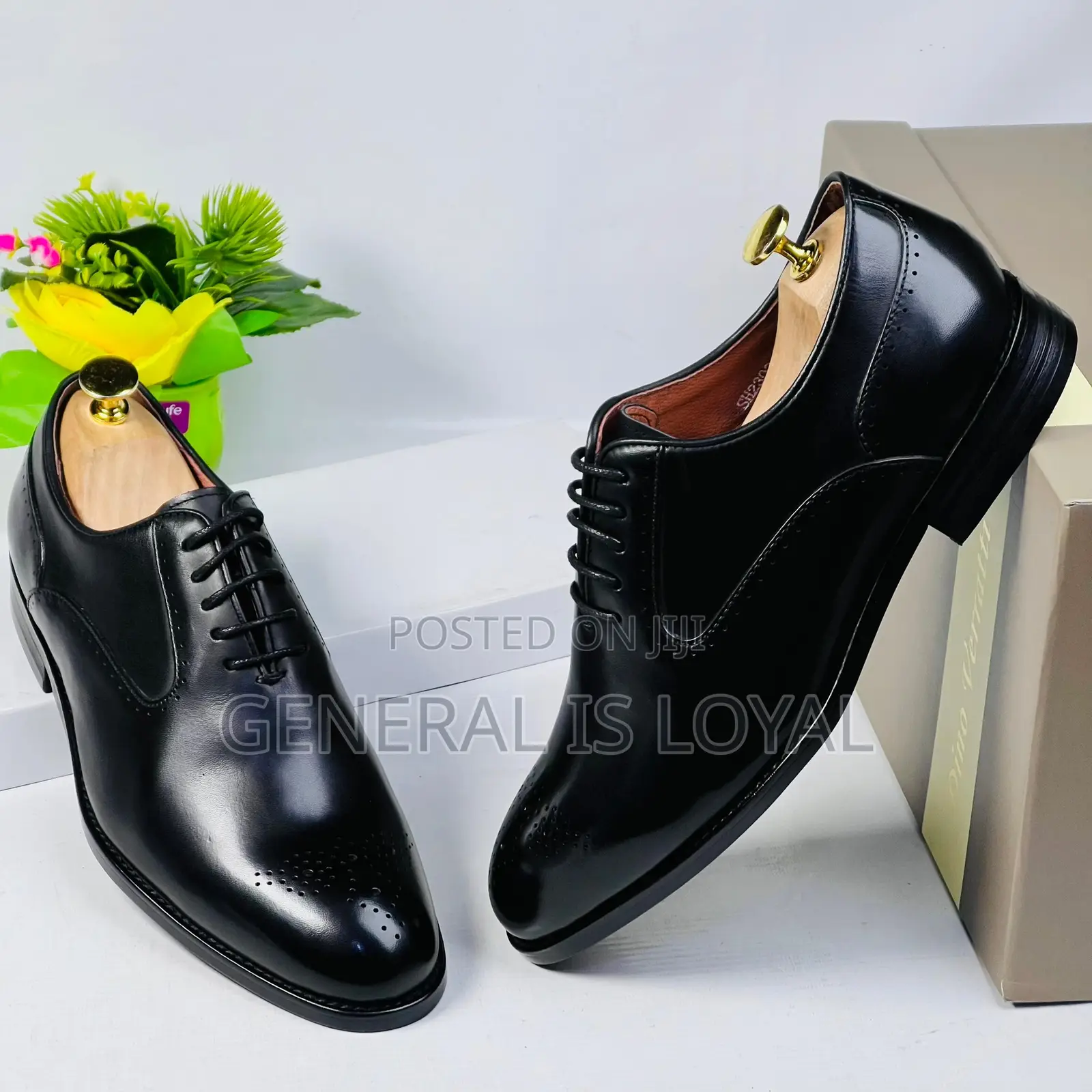 Dino Verratti Lace Leather Black Men Shoe