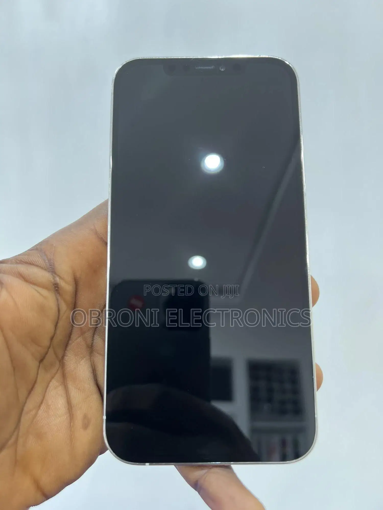 Apple iPhone 12 Pro Max 256 GB Silver