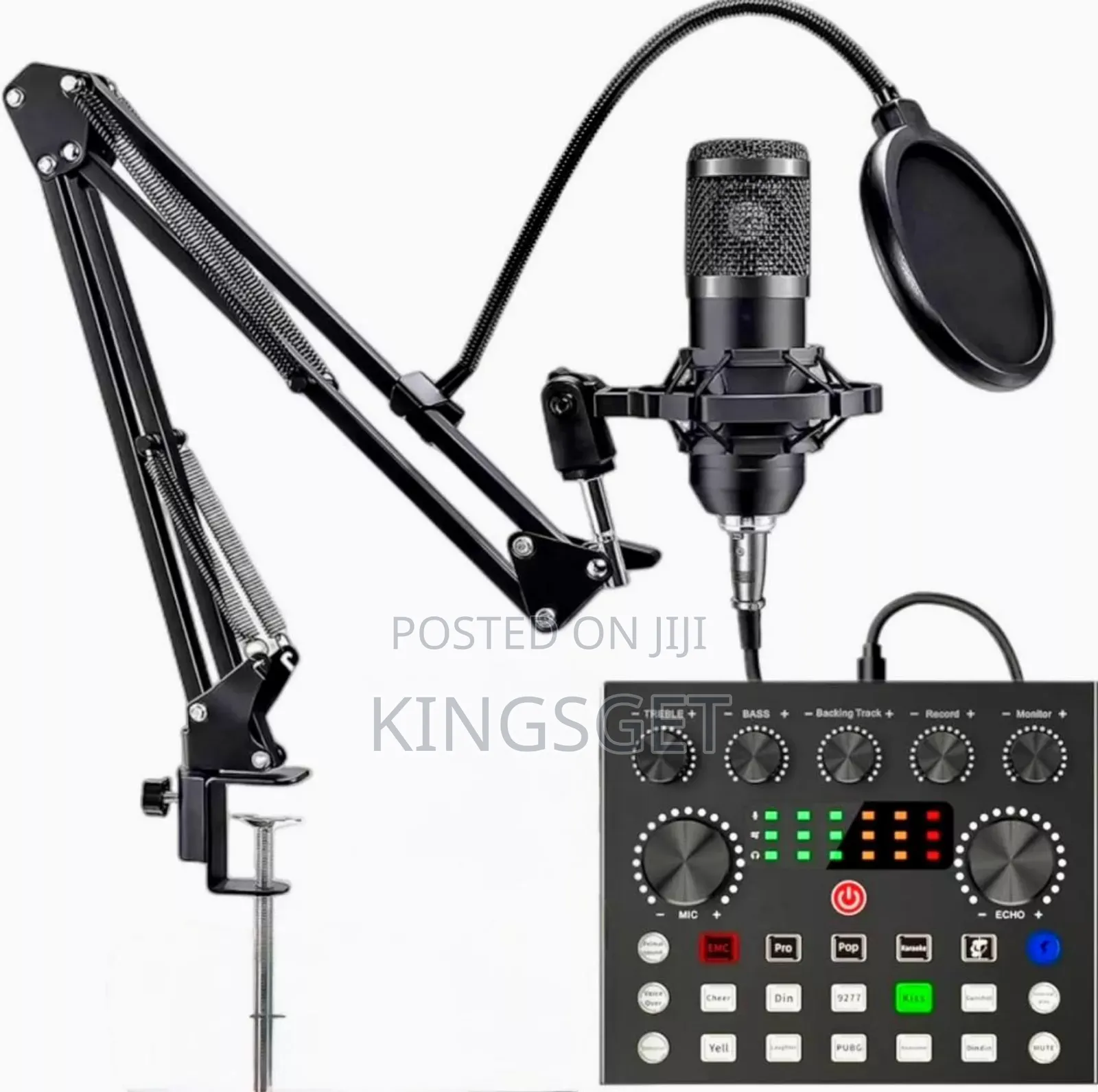 Professional Condenser Microphone