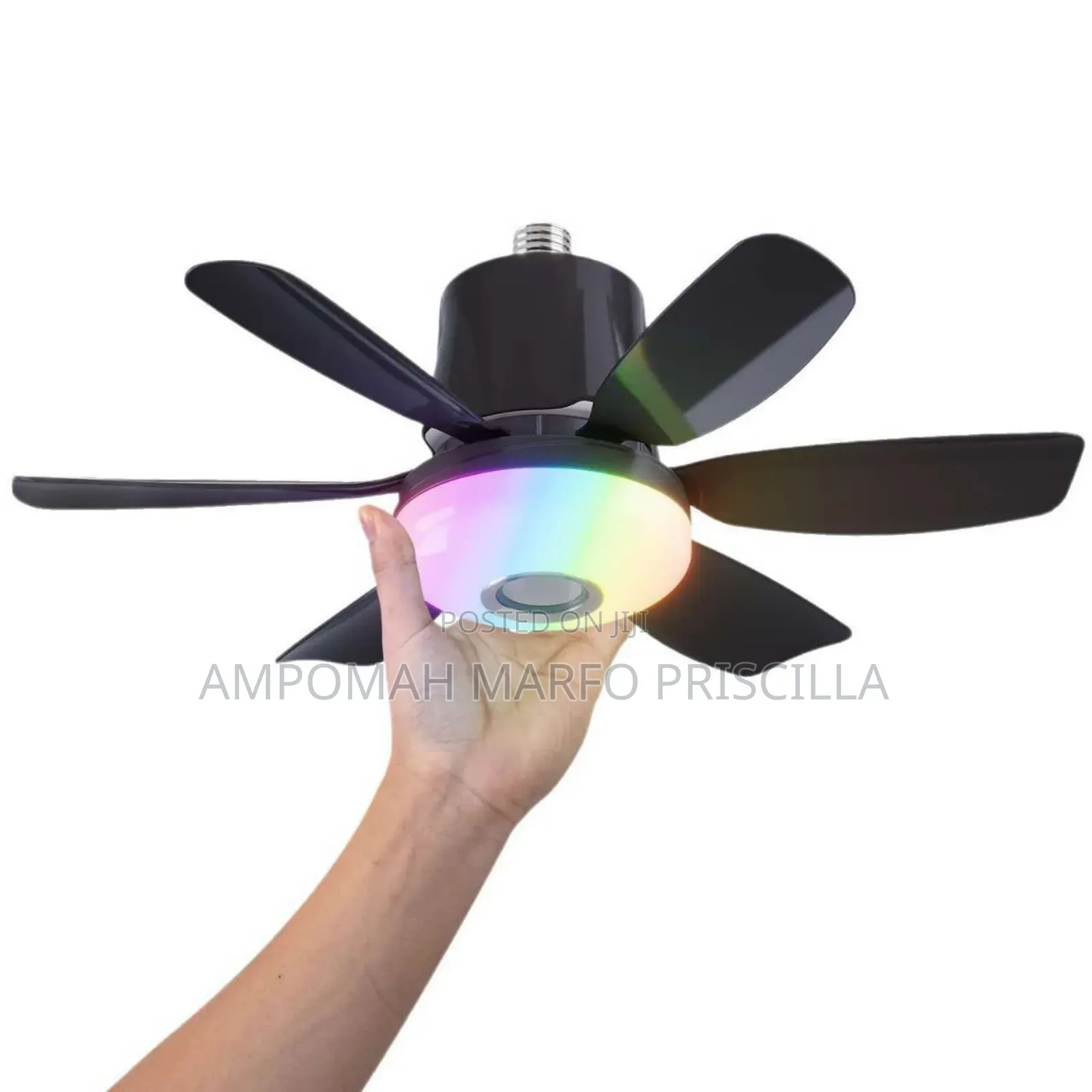 Lamp Holder Ceiling Light With Fan