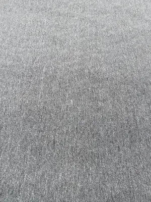 Industrial Plain Gray Carpet