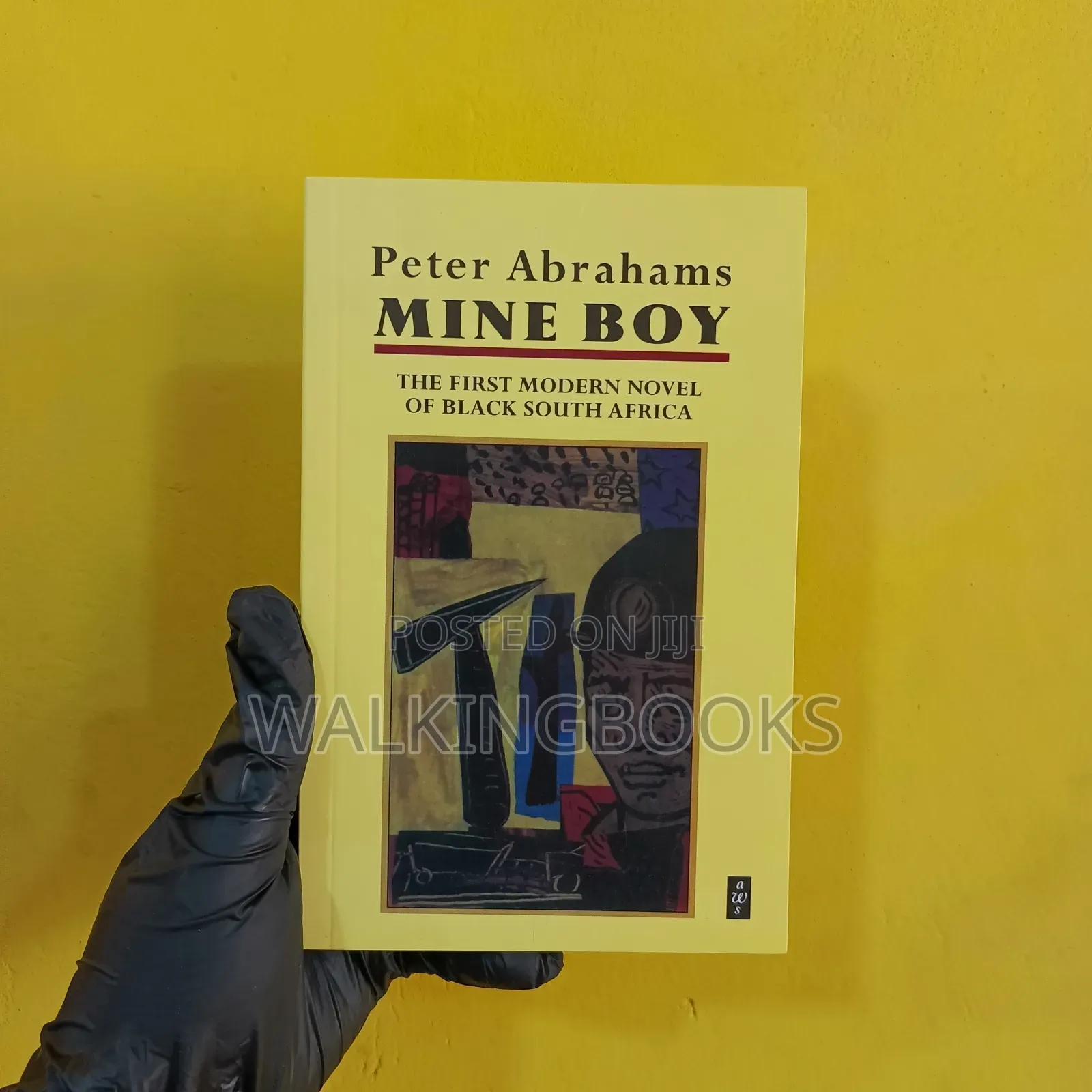 Mine Boy- Peter Abrahams