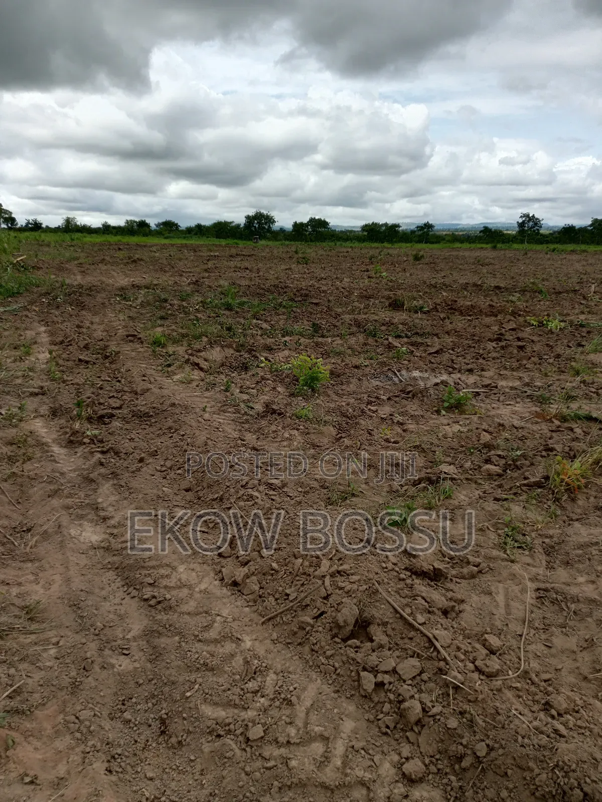 Farm Land at Asante Akyem Agogo Area
