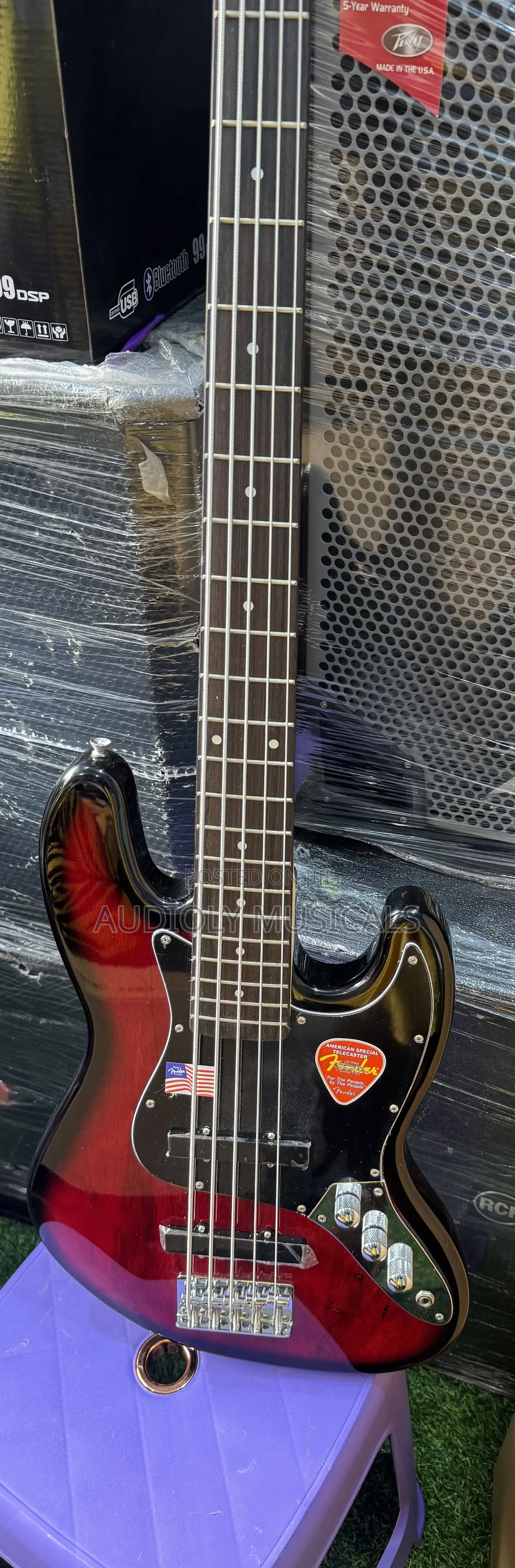 Passive Bass Guitar