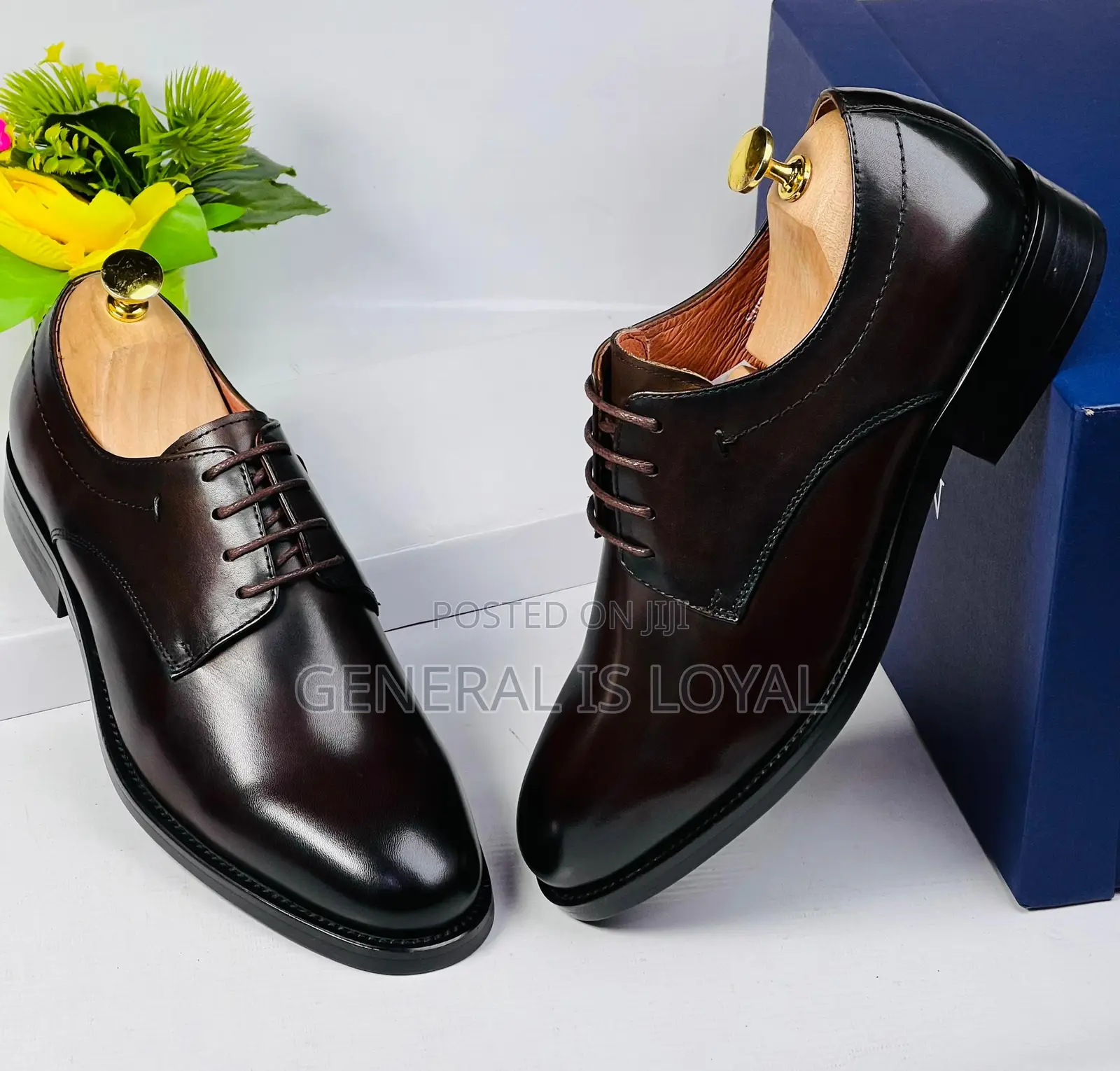 J.M Weston Dark Coffee Executive Men Leather Shoe